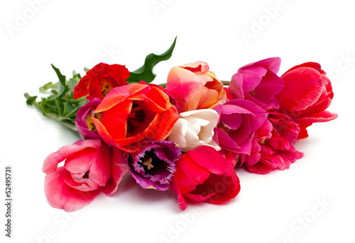 Fototapeta Naklejka Na Ścianę i Meble -  bunch of red and pink tulips over white