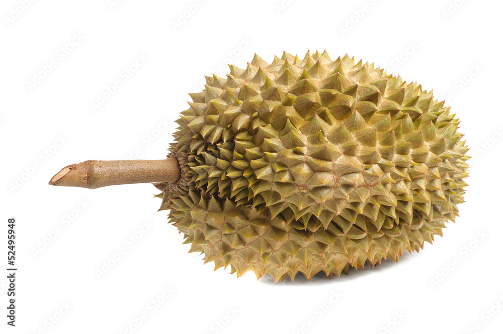 durian fruit durian fruit