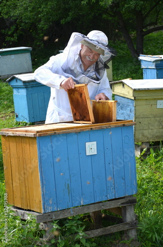 pszczelarz pracujący w pasiece w okresie wiosennym © Darios