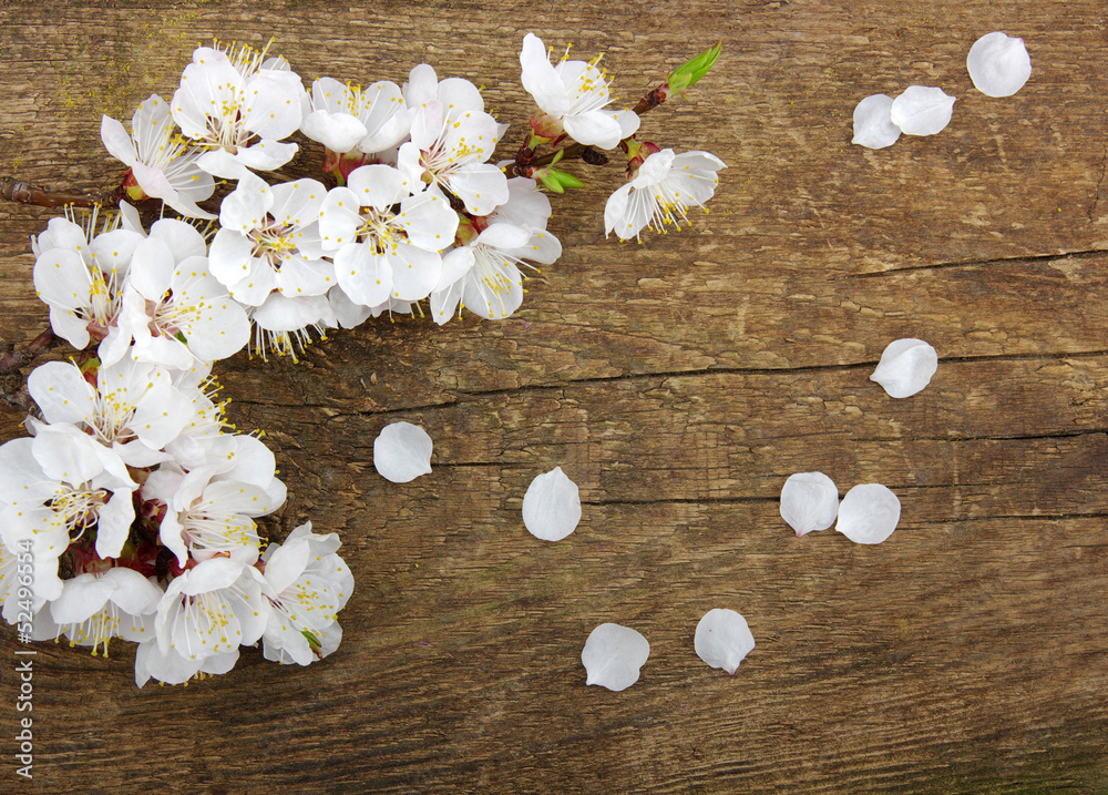 blossom on wood