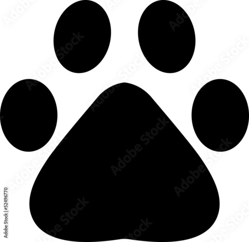 footprint