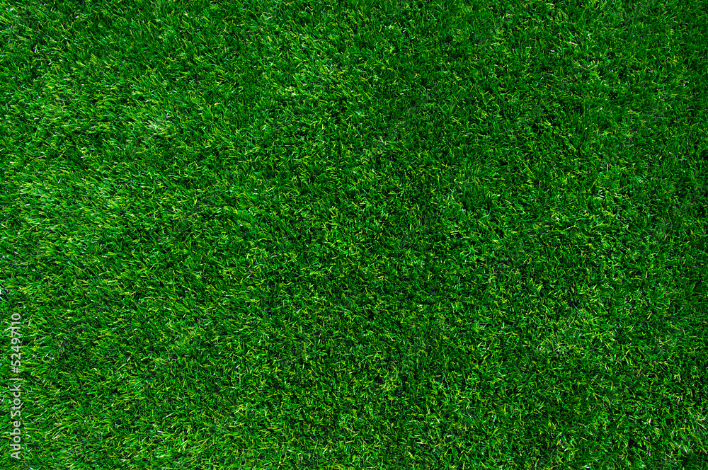 Obraz premium Background of a green grass