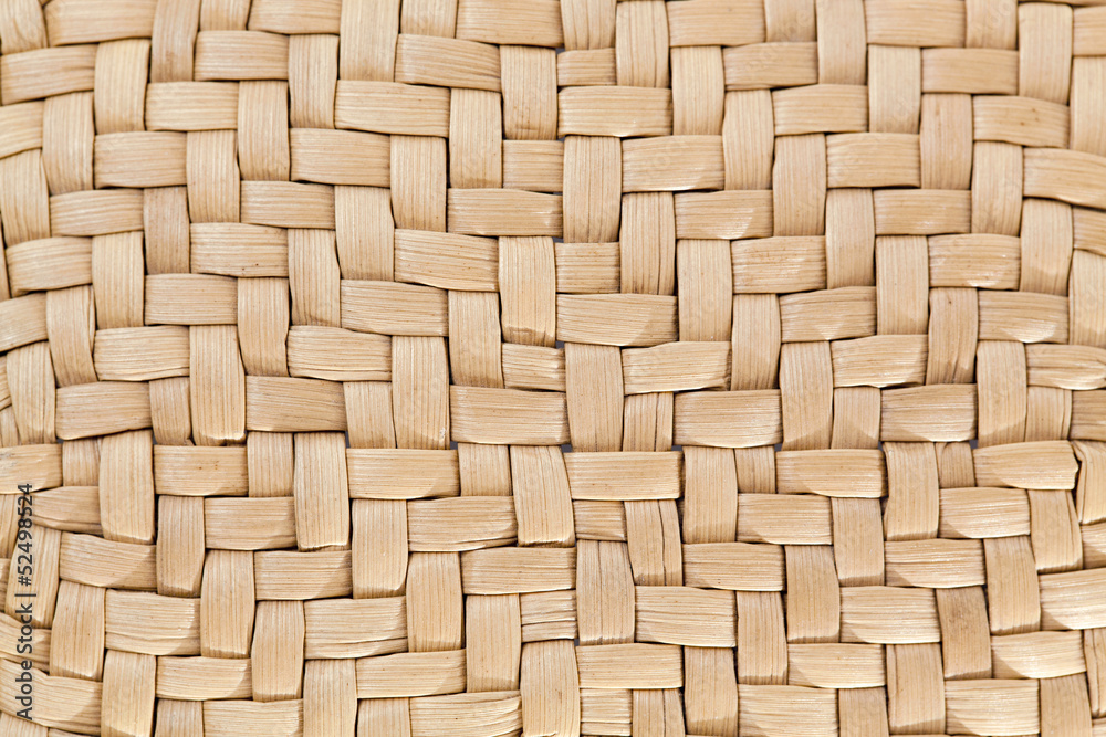 Part of a wattled basket Part of a wattled basket