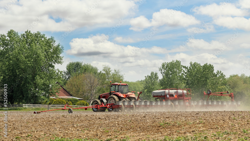Fototapeta premium Spring Planting