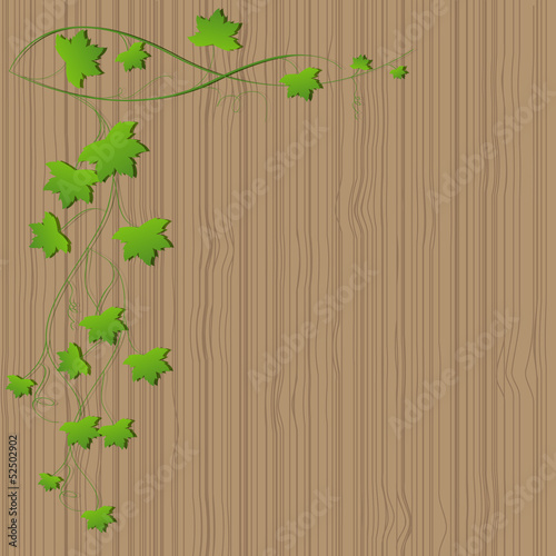 green grape leaves on a wooden table