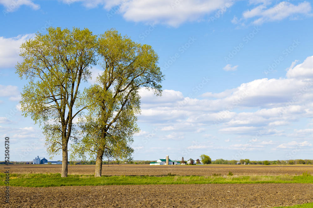 American Countryside