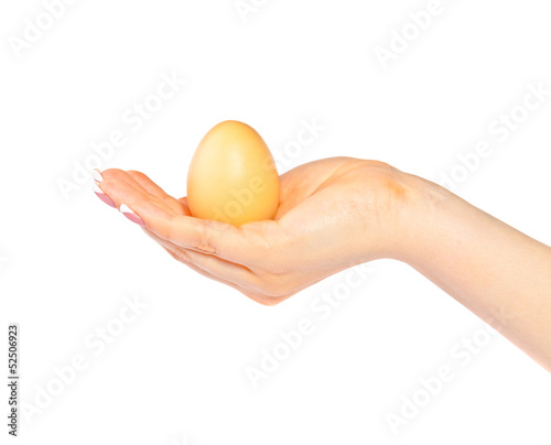 Woman's hand with a chicken egg