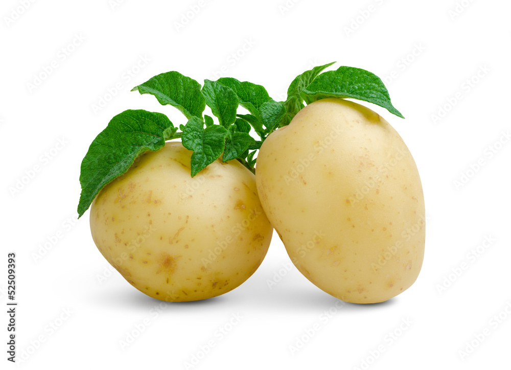 Potatoes with leaves Potatoes with leaves