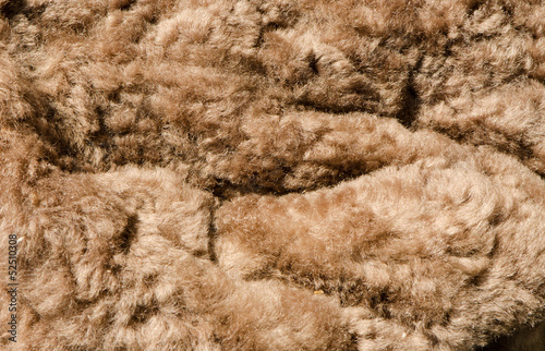 soft brown furry background
