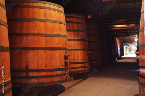 Toneles de vino photo