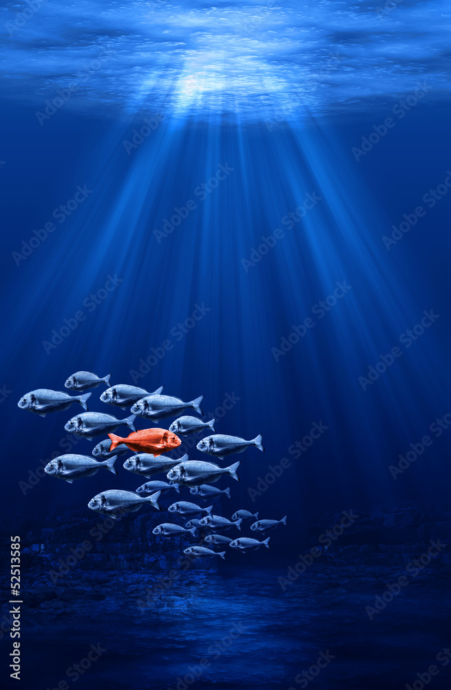 Naklejka premium fish swarm - individualism in the mass concept