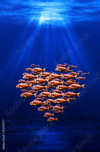 fish swarm forming a heart underwater scene