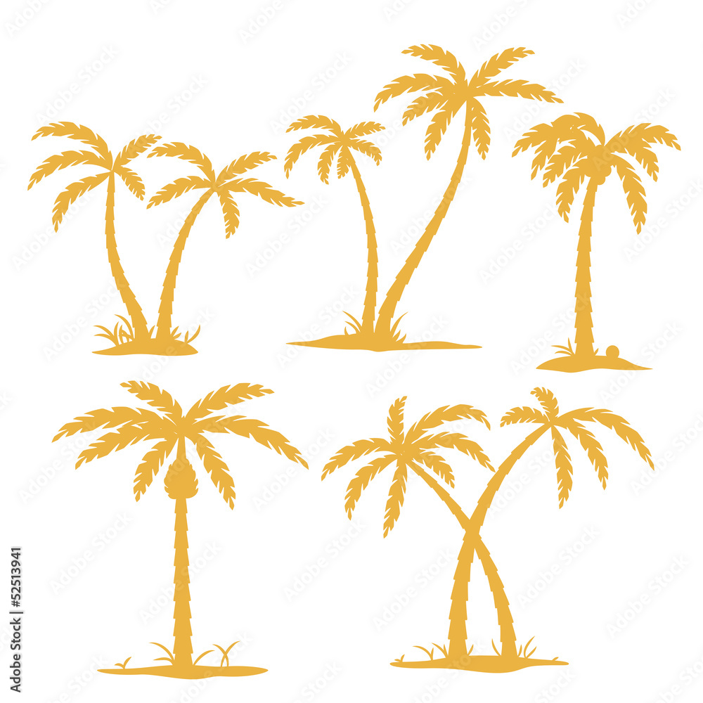 Palm Contours