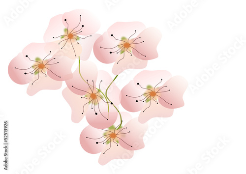 apfelblüten