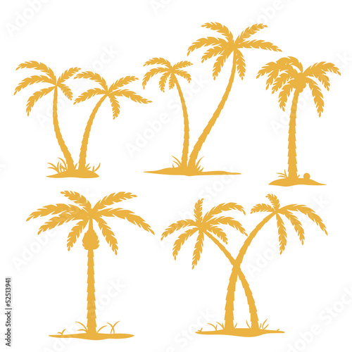 Palm Contours