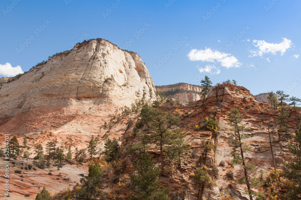 Ridge at Zion National Park
