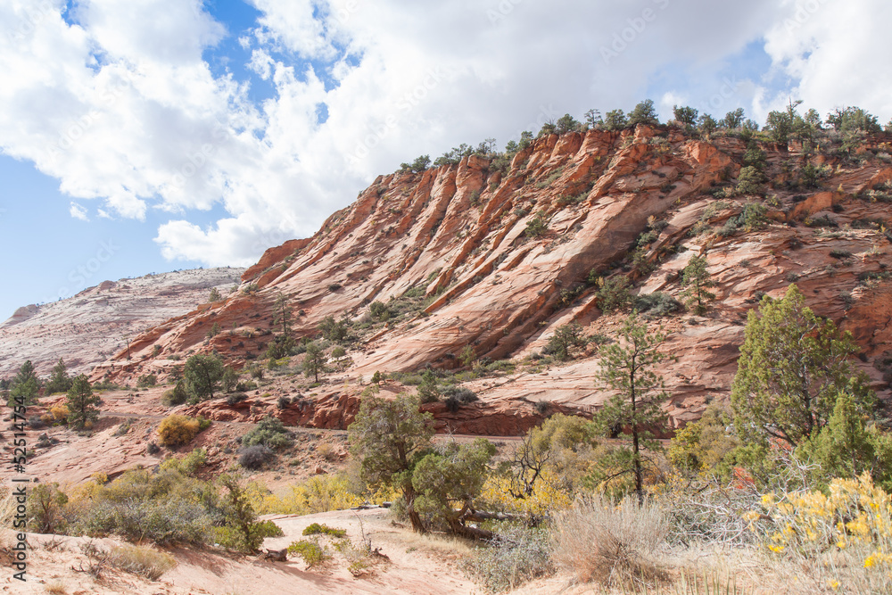 Fototapeta premium Ruffles and Ridges