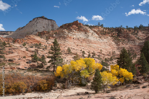 Fall Season at Zion National Park