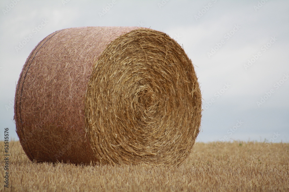 BALLEAU DE PAILLE BALLEAU DE PAILLE