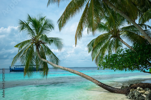 Fototapeta Naklejka Na Ścianę i Meble -  Tropical beach with palm trees boat