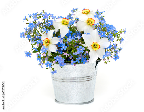 forget-me-not and narcissus flowers over white