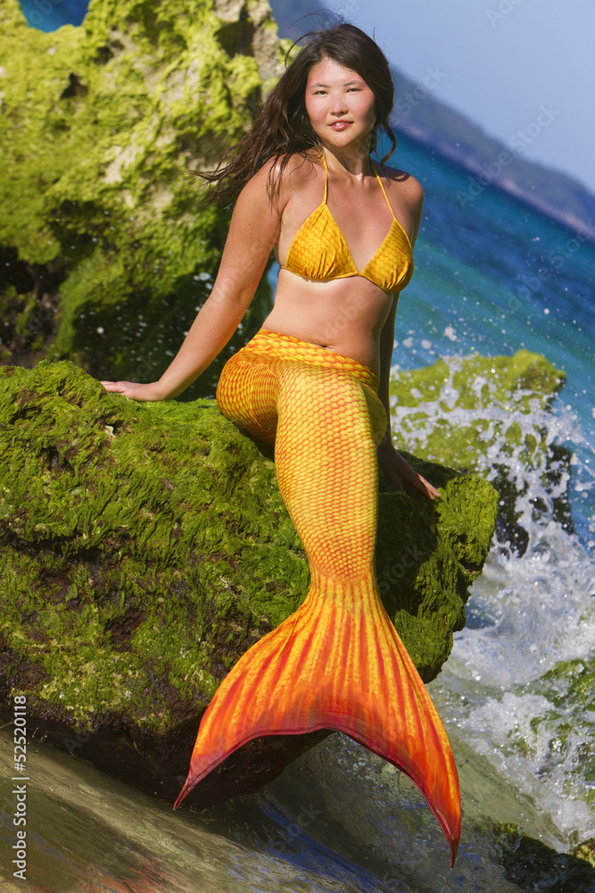 h2o mermaid backgrounds