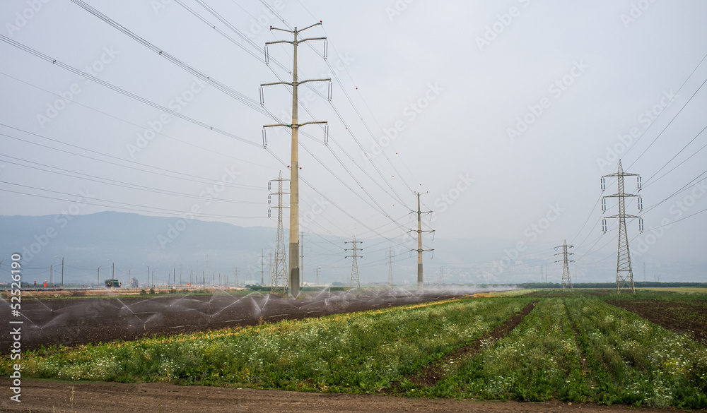 Green crops, working irrigation and electricity pylons.