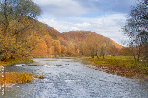 river in autumn forest