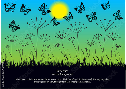 vector background with butterflies and meadow in silhouettes