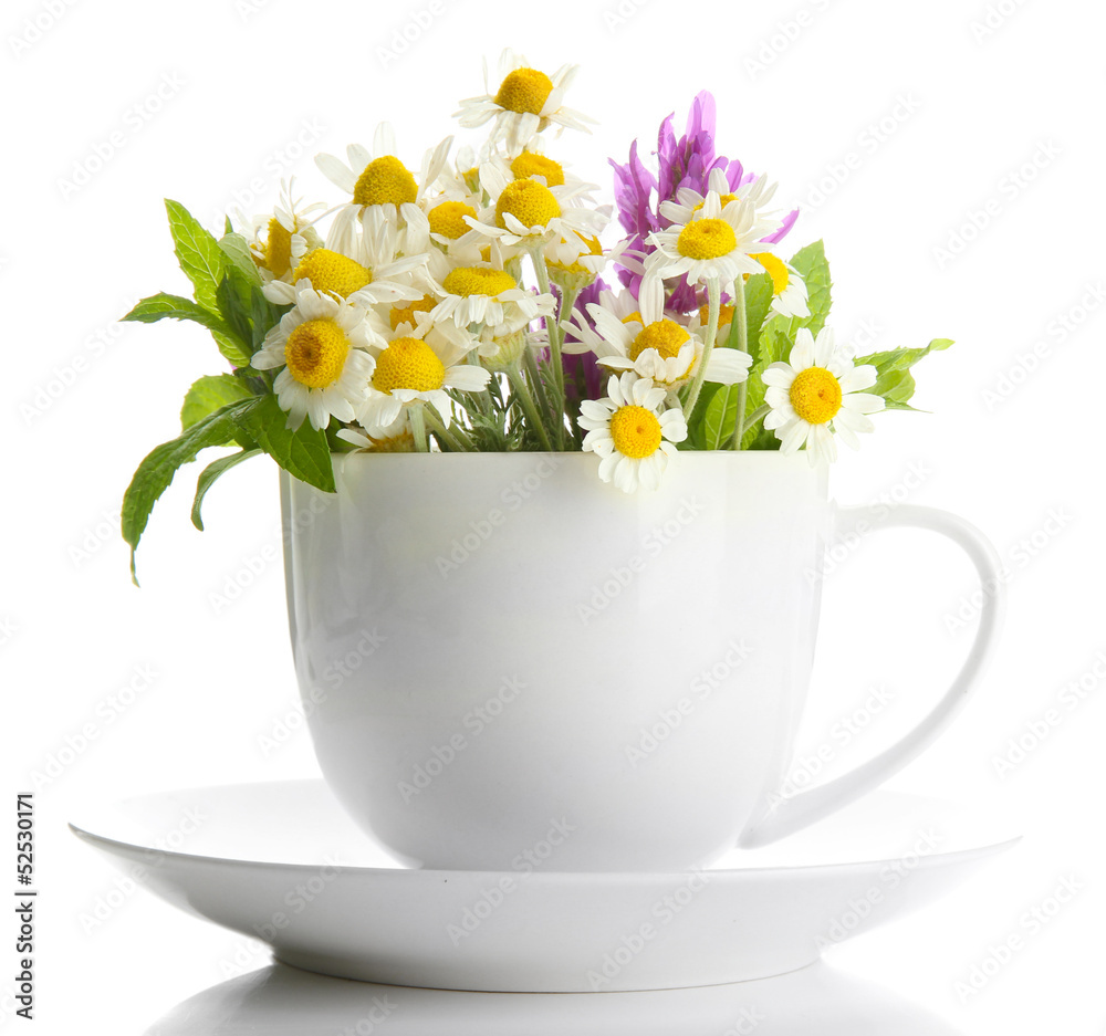 Beautiful wild flowers and mint in cup, isolated on white