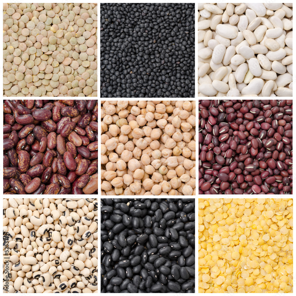 collage of nine species of legumes collage of nine species of legumes