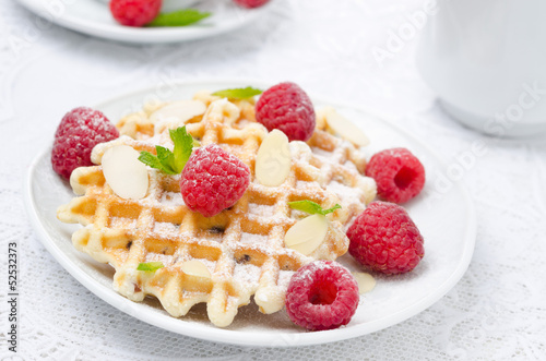 waffles with powdered sugar, fresh raspberries and almonds