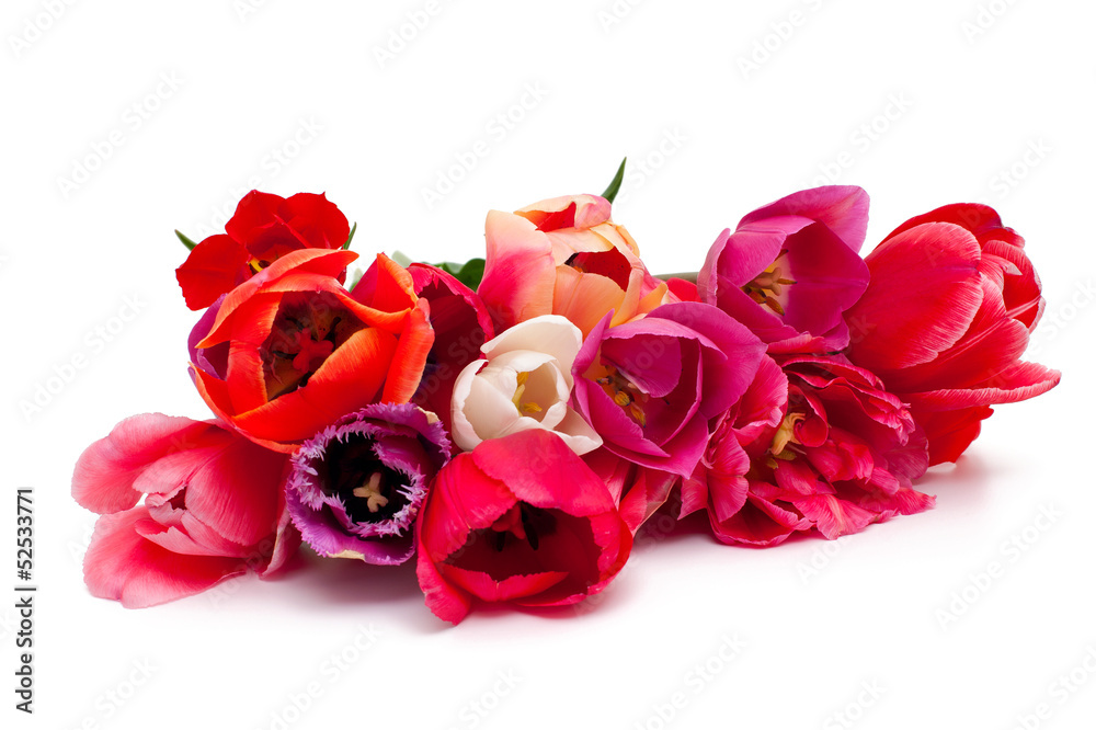 bunch of red and pink tulips over white bunch of red and pink tulips over white