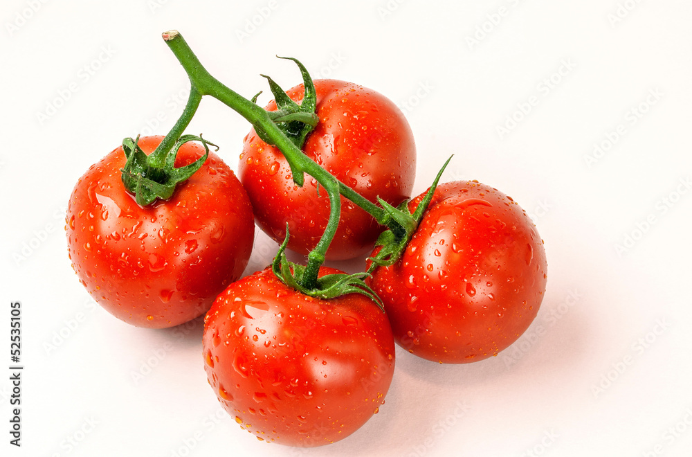 Fresh Tomatoes on white background Fresh Tomatoes on white background