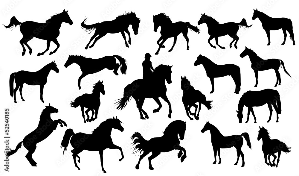 Set of vector horses silhouettes Set of vector horses silhouettes