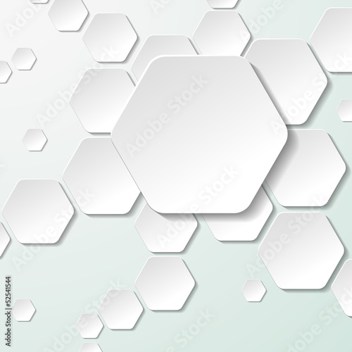 White Paper Hexagon Labels