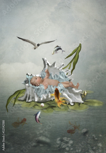 The baby in a the sea shell surrounded by fish and sea gulls © nizhava1956