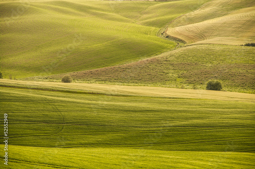 colline verdi Toscana Italia