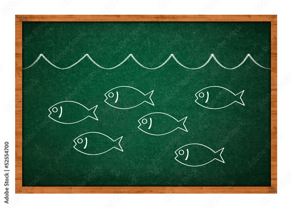 Fototapeta premium Plenty of fish in the sea