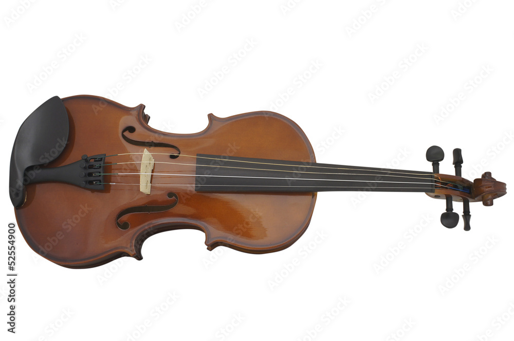 Fototapeta premium violin