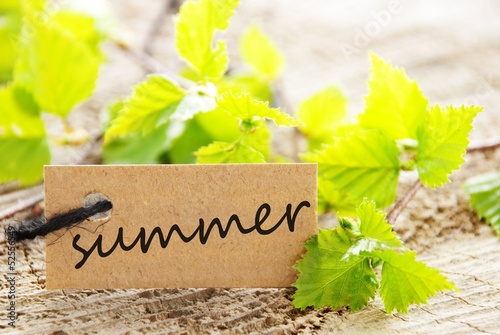 label with summer