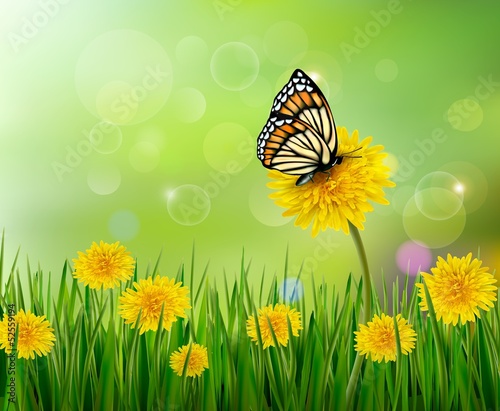 Fototapeta Naklejka Na Ścianę i Meble -  Summer background with dandelions and a butterfly. Vector.