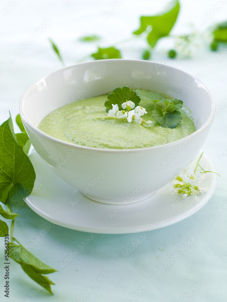 soup soup