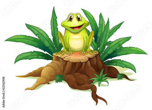 A stump with a frog