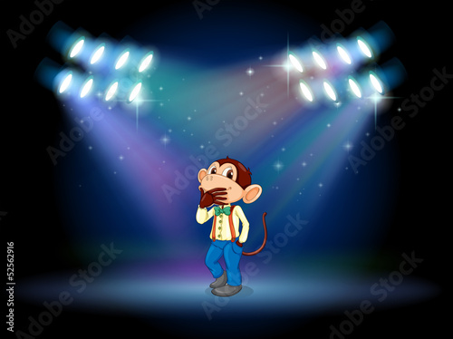 A monkey acting at the stage