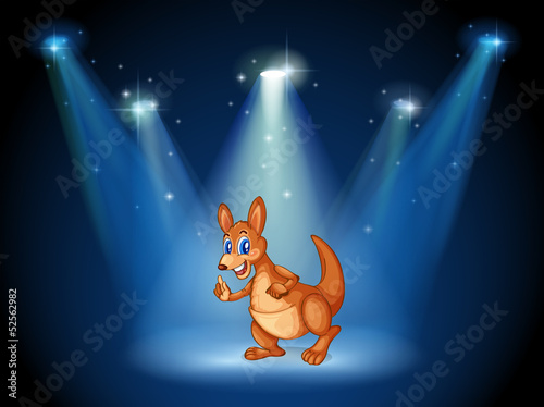 A kangaroo at the center of the stage with spotlights
