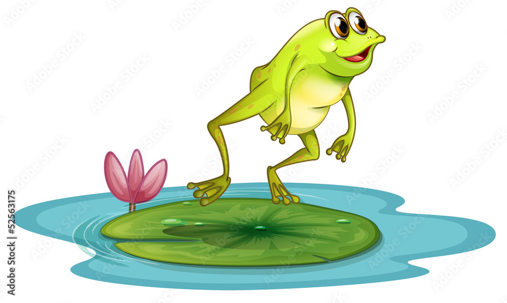Naklejka premium A frog at the pond