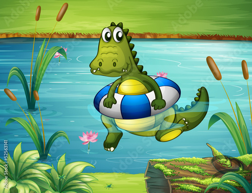 A crocodile at the river with a buoy