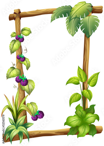 A frame made of wood with vine plants