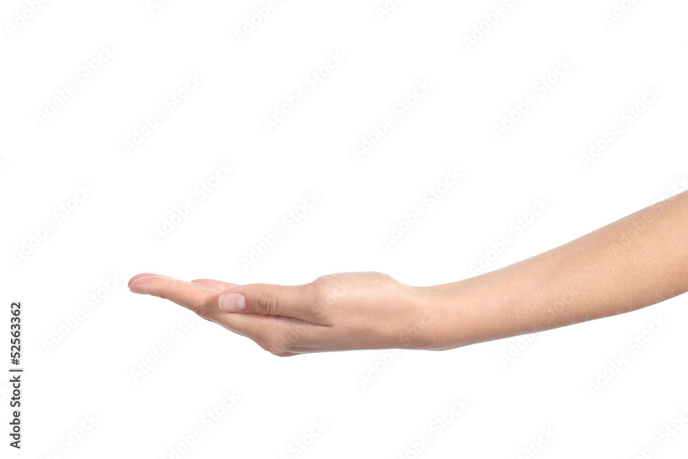 Side view of a woman hand with palm up Side view of a woman hand with palm up
